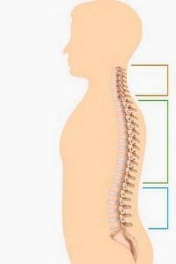 osteochondrosis injury from different parts of the spine
